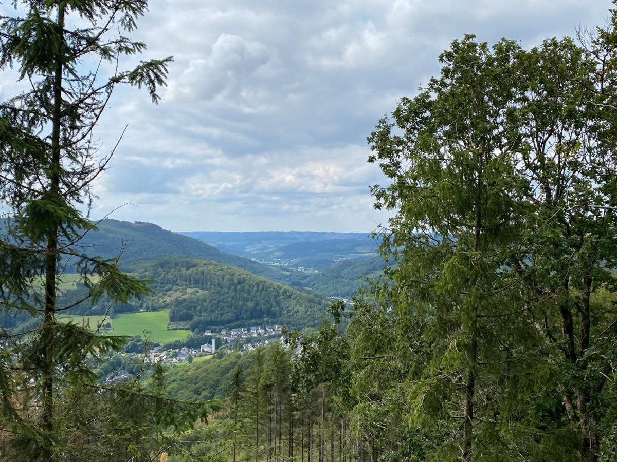 Апартаменты Waldlaeufer Брилон Экстерьер фото